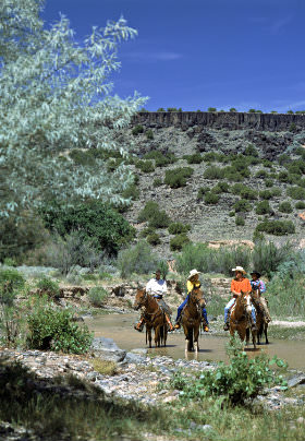 new mexico countryside